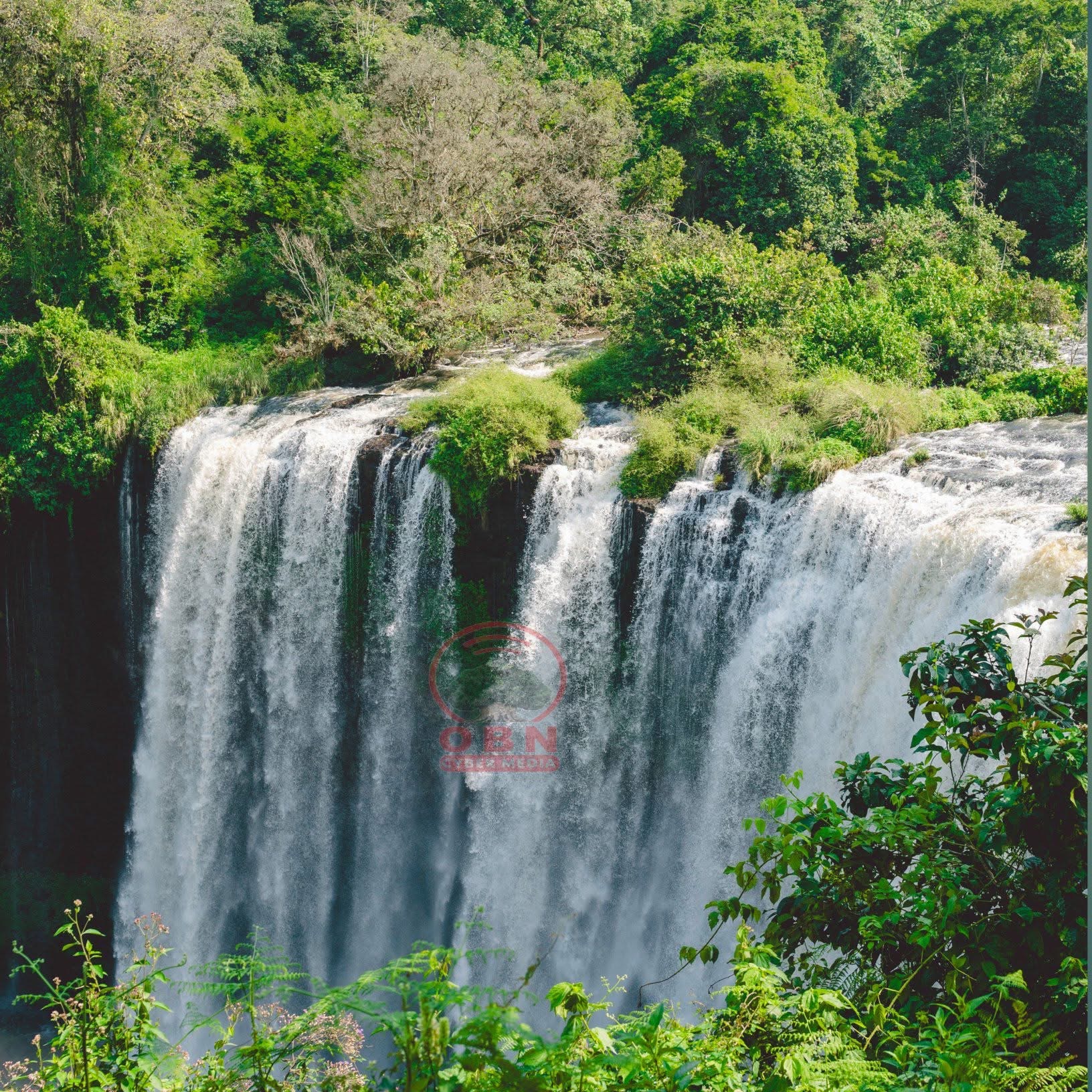 Sor Waterfalls Bedele